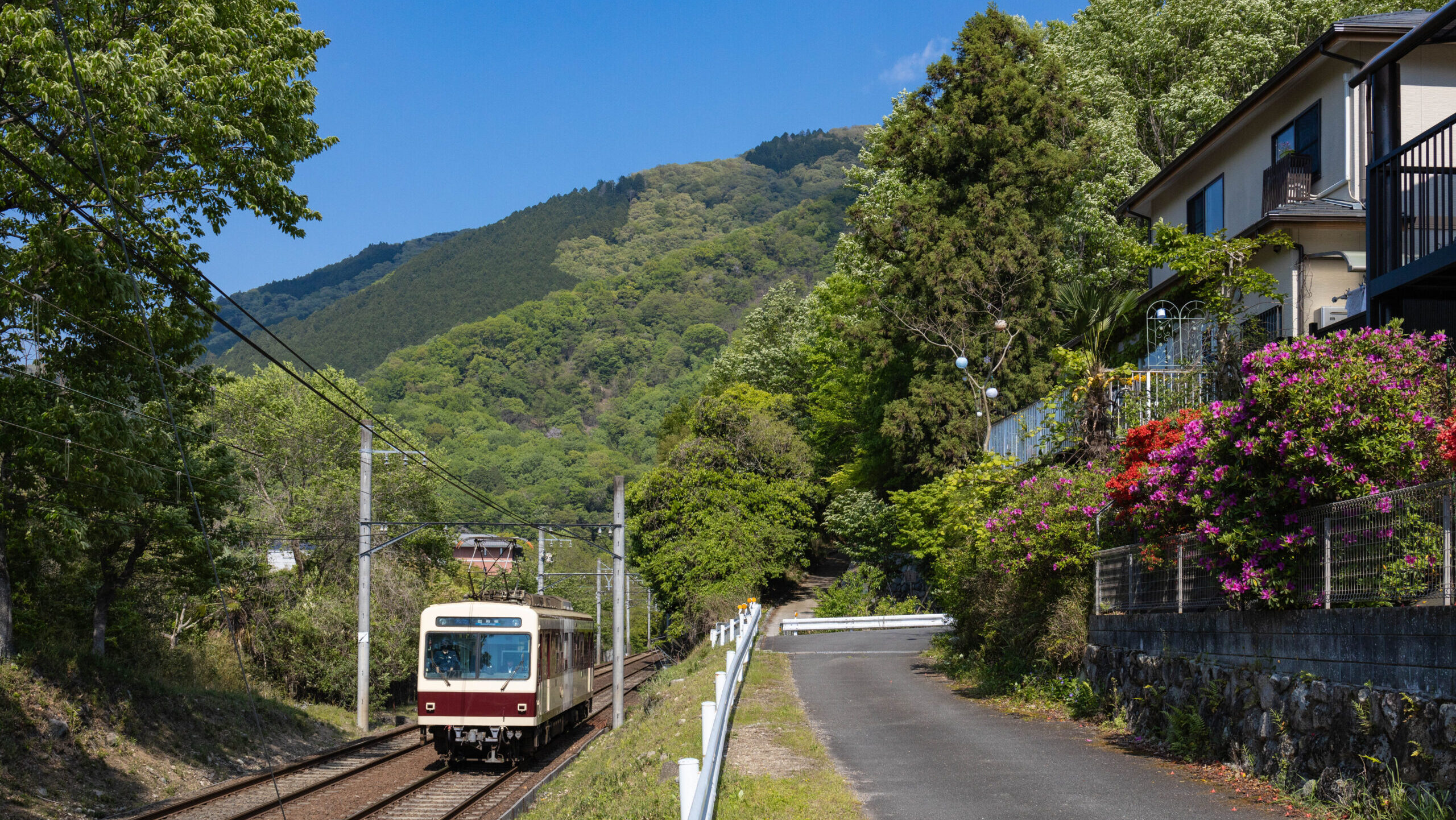 新緑眩しい洛北で、叡山電車をスケッチする。